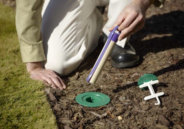 Termite Fumigation Poison Gas Cost