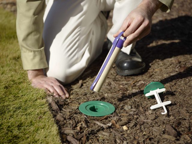 Termite Fumigation Poison Gas Cost
