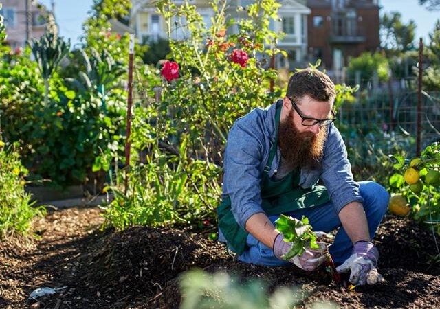 The Health Benefits Of Gardening