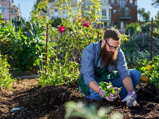 The Health Benefits Of Gardening