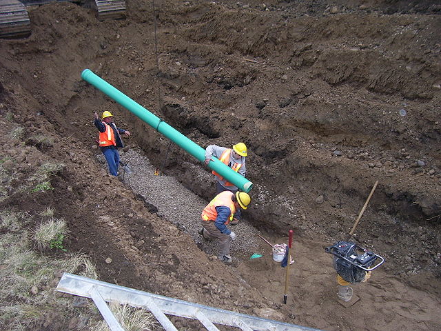 Sewer Line Needs Repair