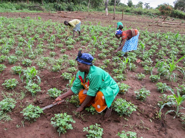 Organic Farming Outlawed