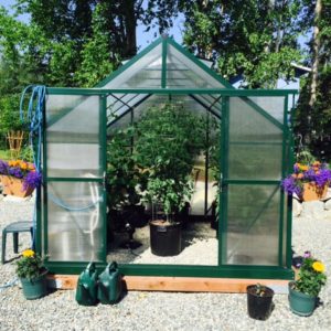 Choosing The Right Greenhouse
