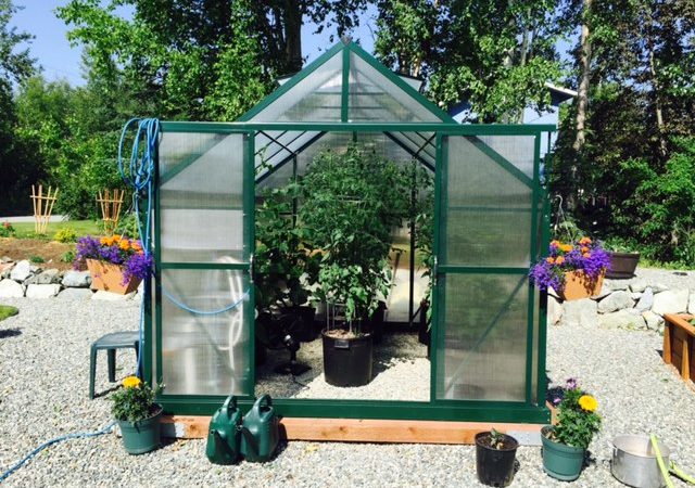 Choosing The Right Greenhouse