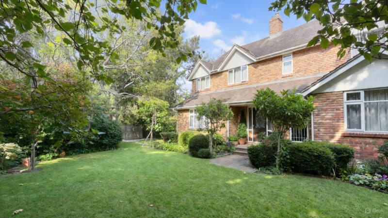 Home Inspection Pest Considerations